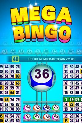 Mega Bingo