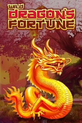 Wild Dragon's Fortune