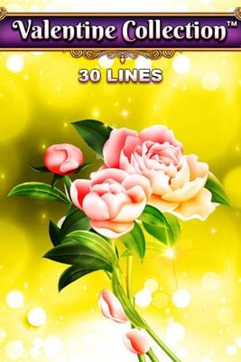 Valentine Collection 30 Lines